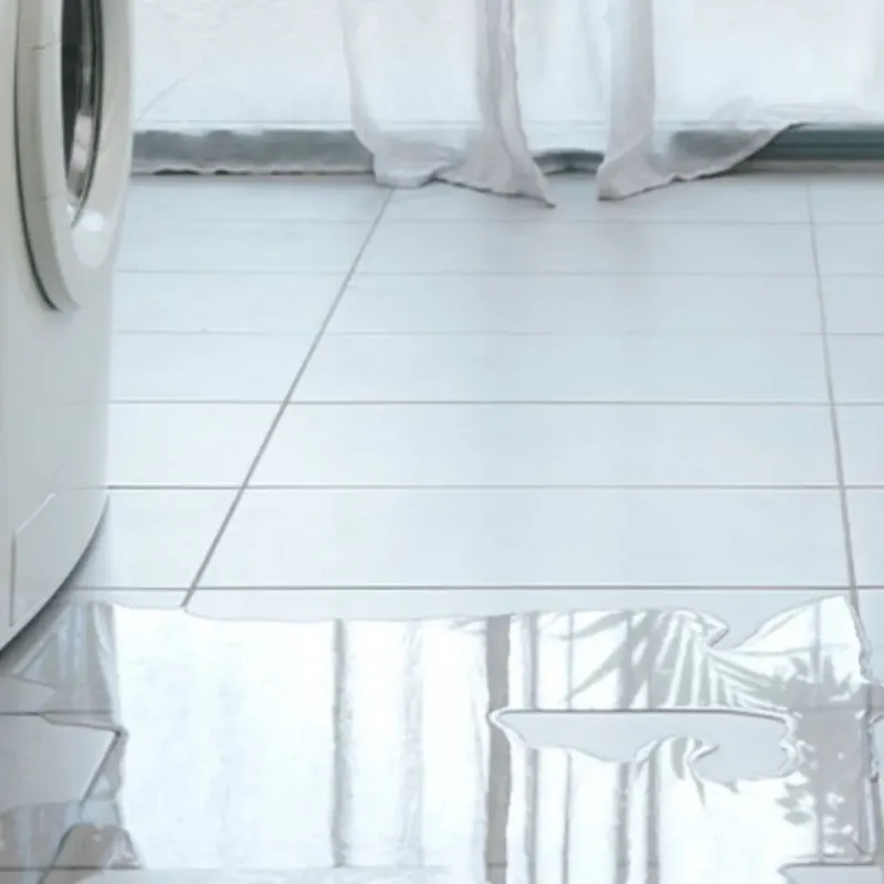 Appliance Leak Cleanup in Siren, WI