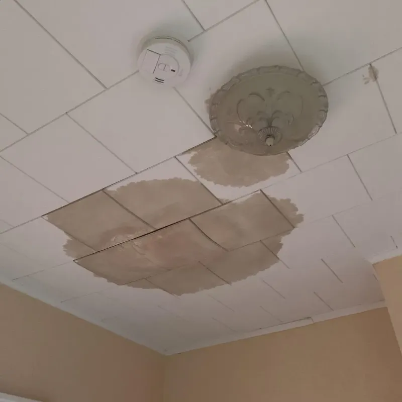 Ceiling Water Damage Repair in Siren, WI