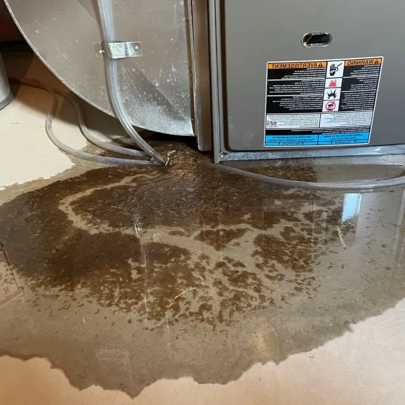 Pipe Burst and Leak Restoration in Siren, WI