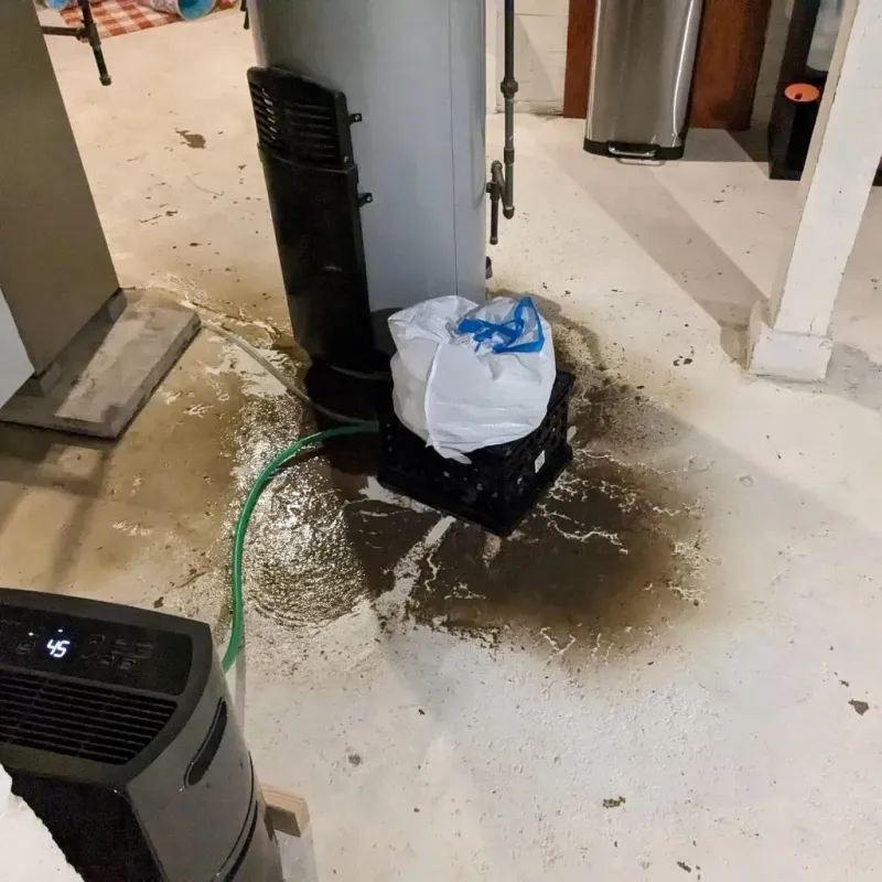 Sewage Backup Cleanup Service in Siren, WI